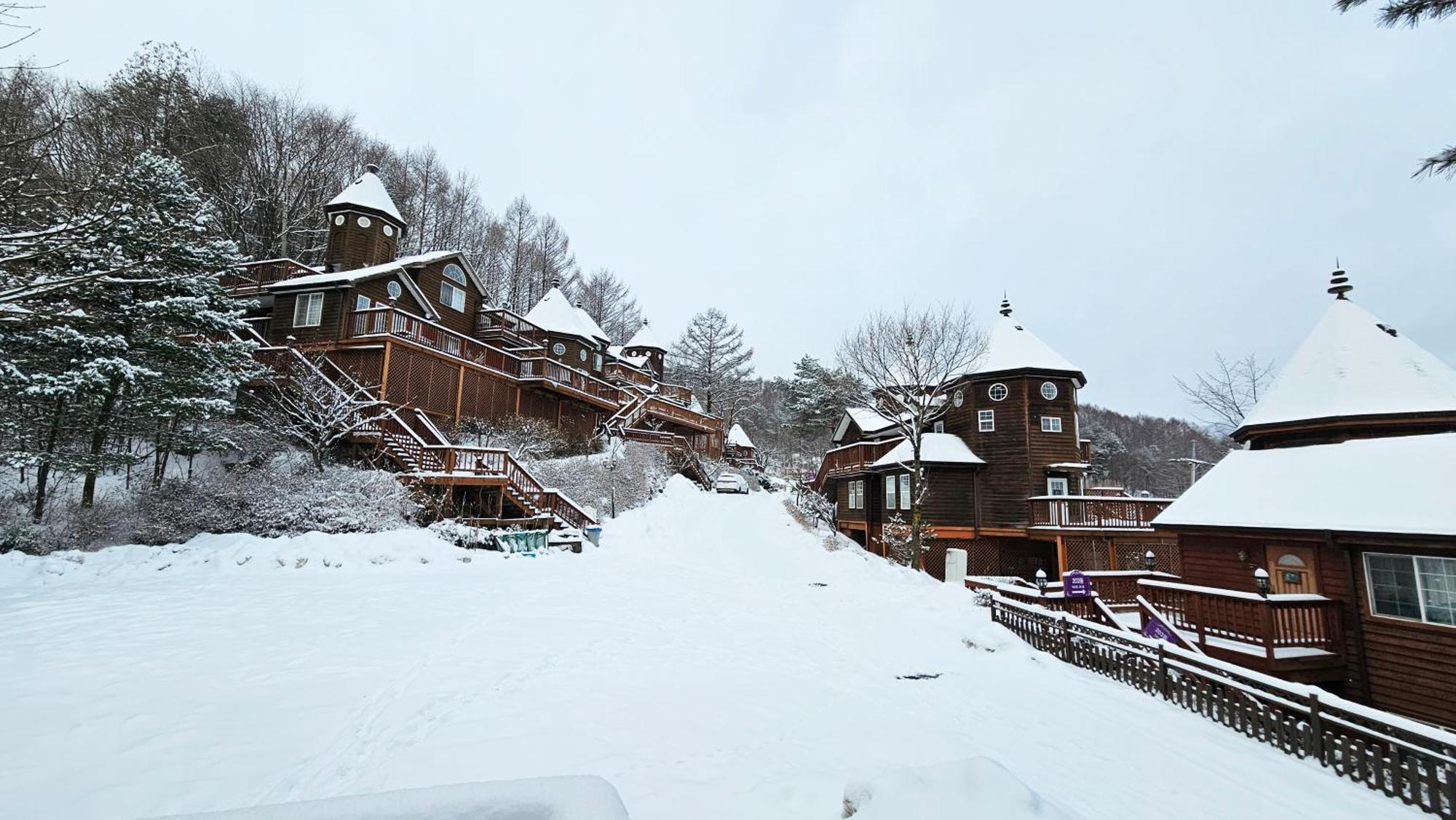 Elf Resort Hotel 平昌 外观 照片