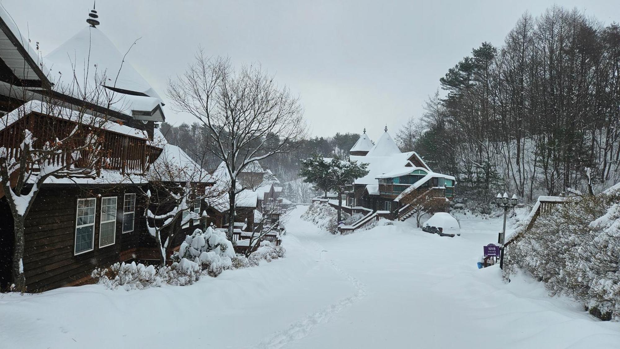 Elf Resort Hotel 平昌 外观 照片