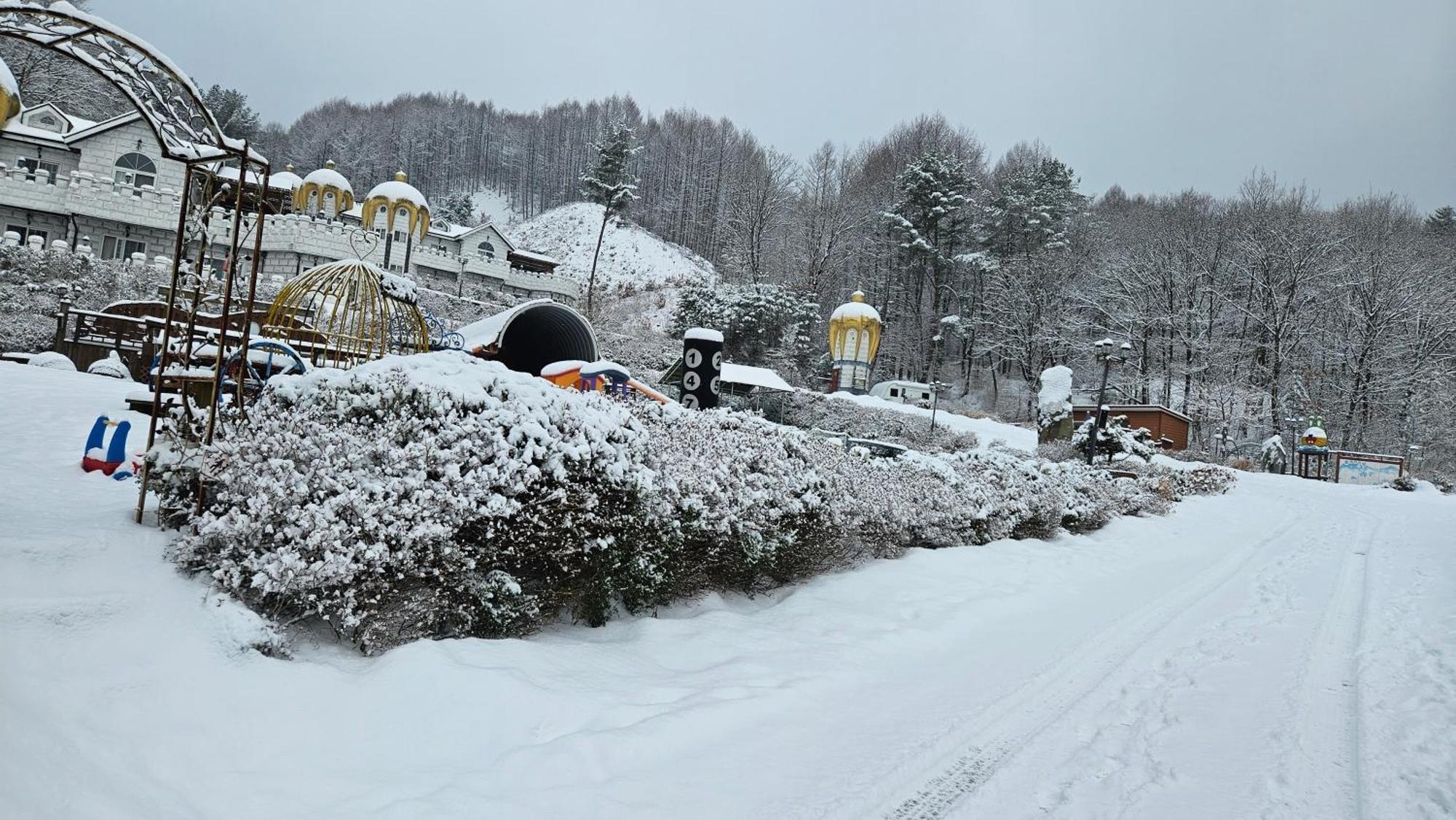 Elf Resort Hotel 平昌 外观 照片